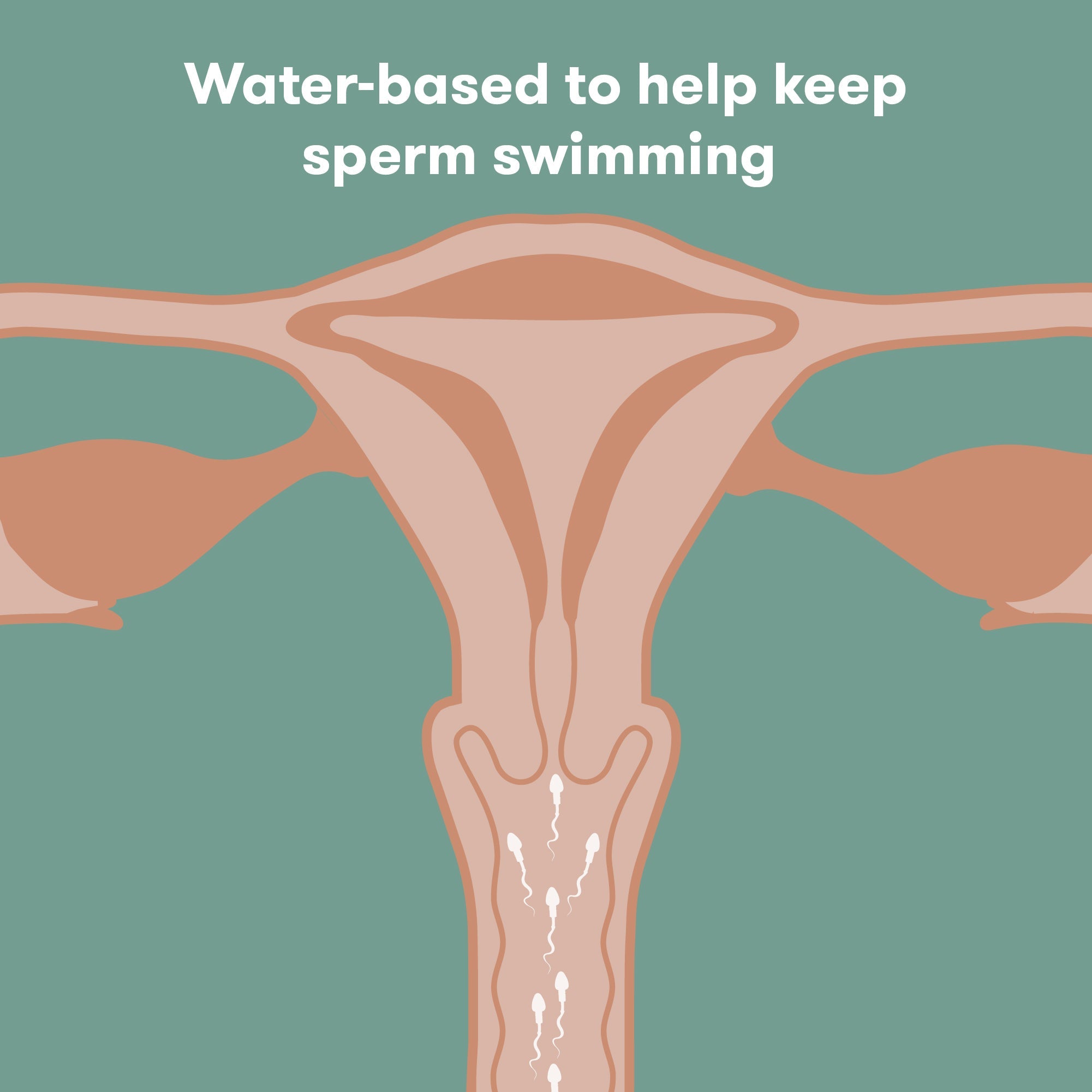 Conception Friendly Lubricant